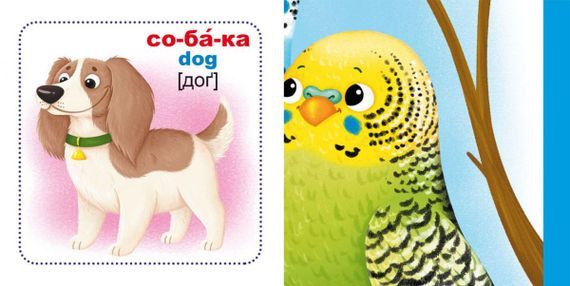 Розумні картки "Домашні тварини" 30 карток 75358 Crystal Book, в коробці (9789669875358) | Зображення 1