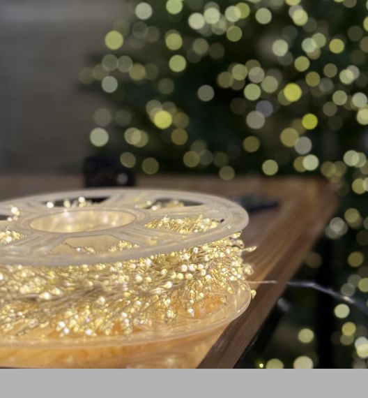 Світлодіодна гірлянда мішура 100м, 2500 LED, срібний провід, пульт дистанційного керування, 8 режимів, 220В XPRO WW-1 (47396-_1165) | Зображення 1