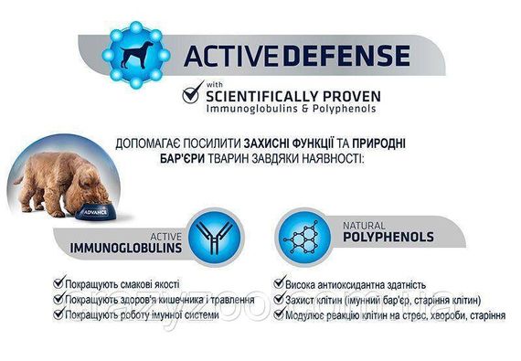 Сухий корм для Йоркширських тер'єрів Advance Dog Yorkshire з куркою та рисом 1.5 кг 8410650170480 | Зображення 2