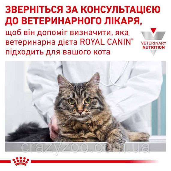 Лікувальний корм для котів Royal Canin Hypoallergenic Feline 2.5 кг | Зображення 1