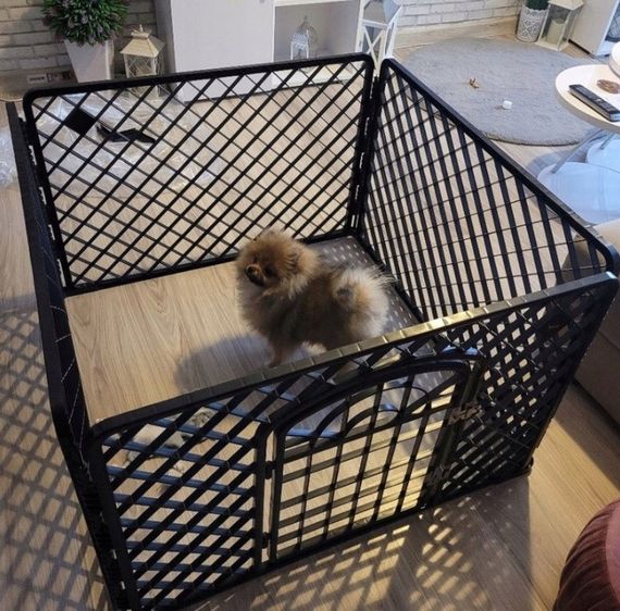 Манеж для тварин – клітка 90x90x60 см 🐶🐰 | Зображення 1