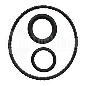 Прокладки масляного радиатора компл. Renault Captur 13-/ Clio 03-10/ Dokker 13-/ Duster 10-18/ Kadjar 15-/ Kangoo 01-/ Laguna