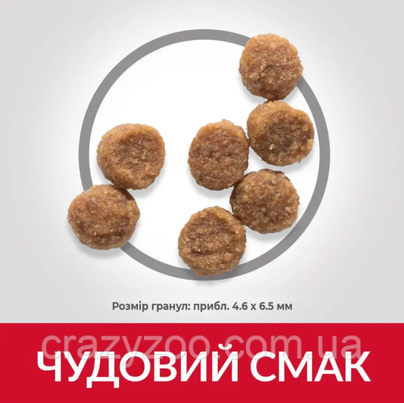 Сухой корм для щенков малых пород Hill's Puppy Small & Mini Lamb&Rice ягненком и рисом 6 кг 606591 | Зображення 3