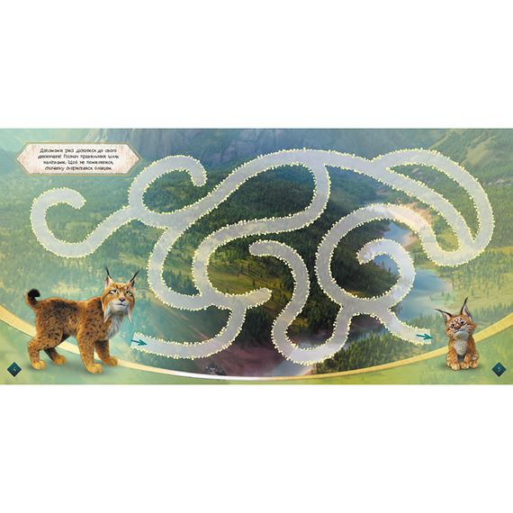 Лабиринты с наклейками «Мавка Загадочный мир» 1249019 | Зображення 3