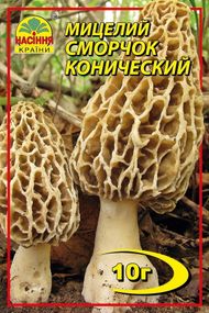 Сморчок конічний 10 г