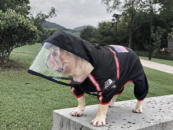 Дощовик для собак з капюшоном dog face чорний S розмір