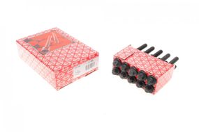 Болти головки к-кт 10шт. Renault Trafic 2.0-2.5dCi Master 2.5dCi 373.320