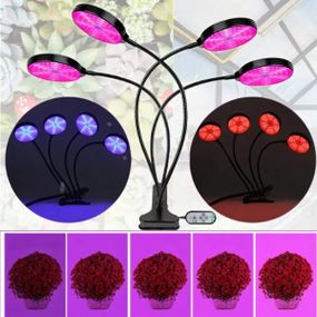 Фітолампа для рослин кругла на підставці 4 світильники на гнучких тримачах 220V 4 IN1 Чорна