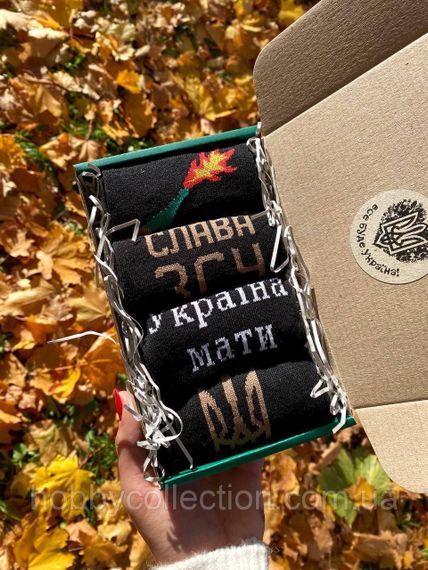 Бокс чоловічих патріотичних шкарпеток 41-45 4 пари в зеленій коробці весна-осінь-літо | Зображення 7