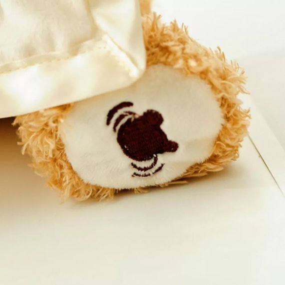 Детская интерактивная игрушка говорящий Мишка 30 см, Peekaboo Bear / Плюшевый музыкальный медведь | Зображення 6