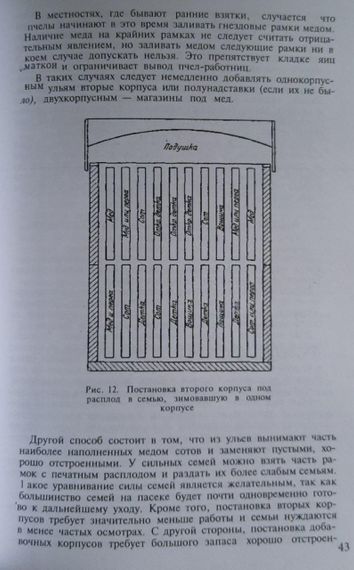 Книга «Доходная пасека» Фольц А.В. | Зображення 4