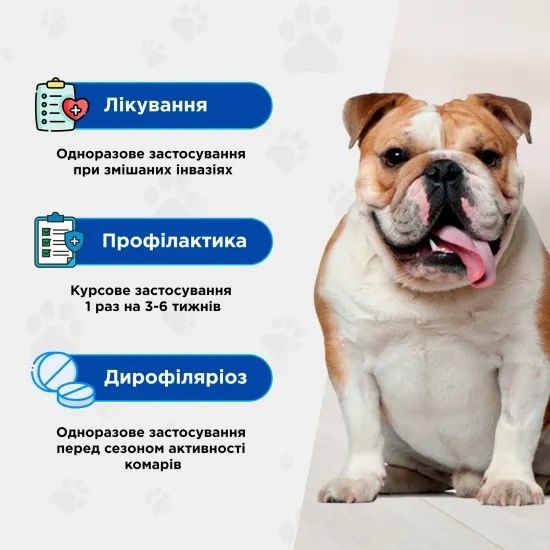 Протипаразитарні таблетки для собак вагою 16-32 кг ModeS Квадромідас, 1 табл | Зображення 2