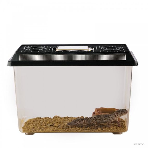 Фаунаріум ExoTerra для транспортування та утримання тварин пластиковий 37х22х25 см | Зображення 1