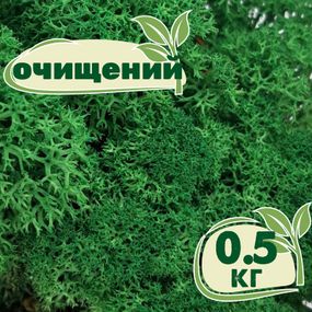 Очищений стабілізований мох ягель Зелений трав'яний темний 0,5 кг