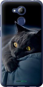 Чохол на Huawei Honor 6C Pro Димчастий кіт "825u-1358-2448"