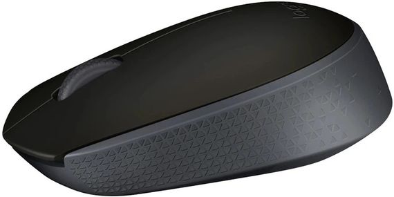 Мышь компьютерная безпроводная Logitech M171 Black L910-004424 черная | Зображення 1