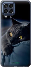 Чохол на Samsung Galaxy M33 M336B Димчастий кіт "825u-2633-2448"