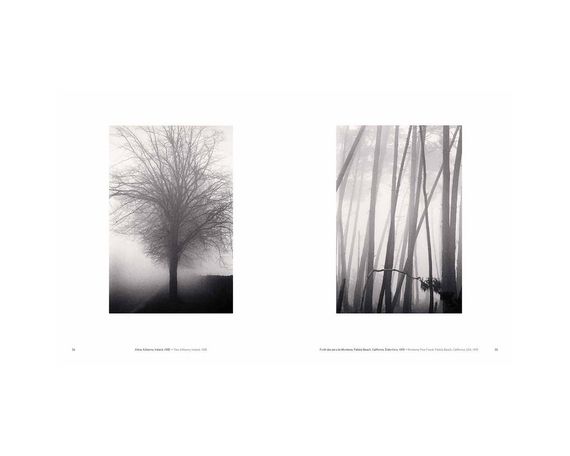 Книга Michael Kenna: Trees / Arbres (Signed) | Зображення 8