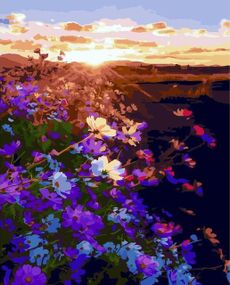 Восход солнца на цветочном поле