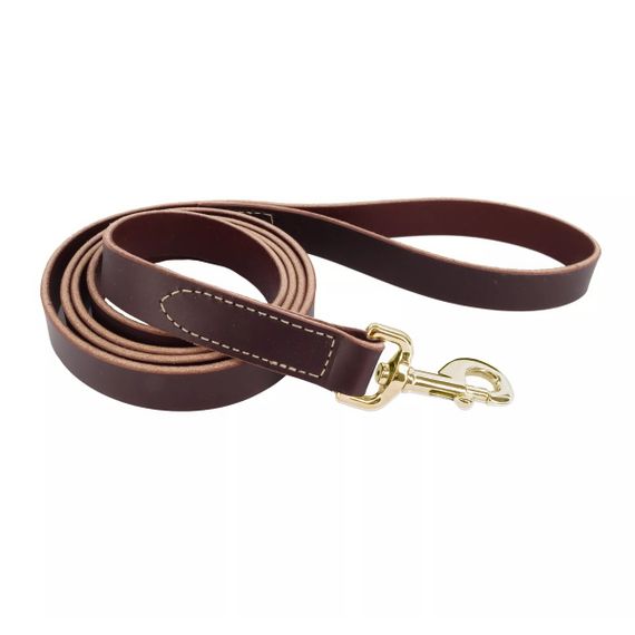 Повідець шкіряний для собак Coastal Circle-T Dog Leash, 1.8 м х 2 см, коричневий
