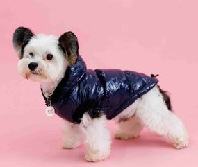 Жилет монклер синій G-83