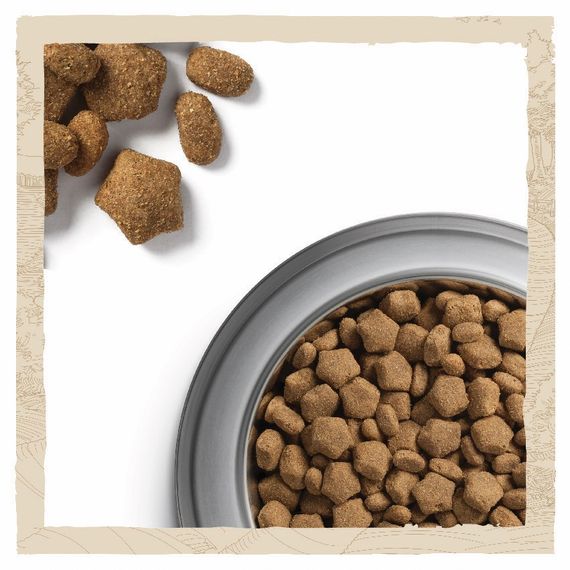 Сухий корм для собак з лососем Dog Chow Sensitive 2.5 кг | Зображення 5