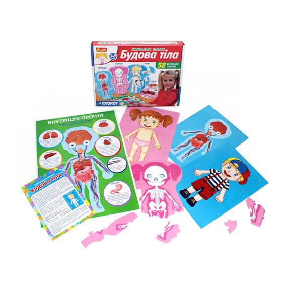 Учебные пазлы "Телосложение" 13164012, 58 больших пазлов, плакат | Зображення 1