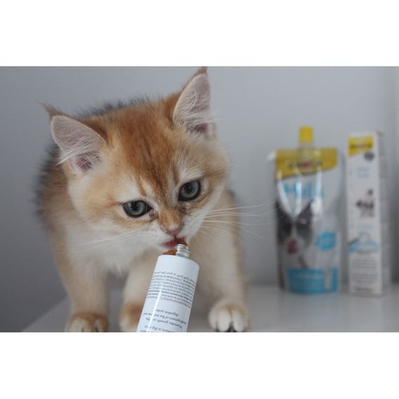 Вітаміни GimCat Expert Line Kitten для кошенят вітамінізована паста 50 г | Зображення 3