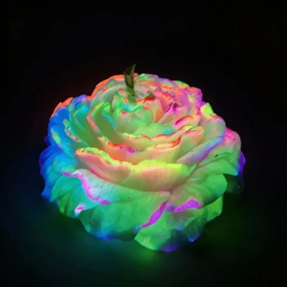 Свічка Півонія низькотемпературна люмінесцентна GlowKink різнокольорова, VIP-концентрація, 91 г Sex Aura | Зображення 2