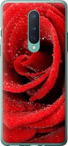 Чехол на OnePlus 8 Красная роза "529u-1902-17620"