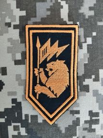 Шеврон 60 ОМБ / шеврон