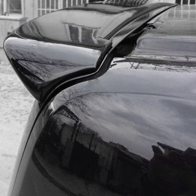 Спойлер Anatomic (під фарбування) для Ford Custom 2013-2024 рр