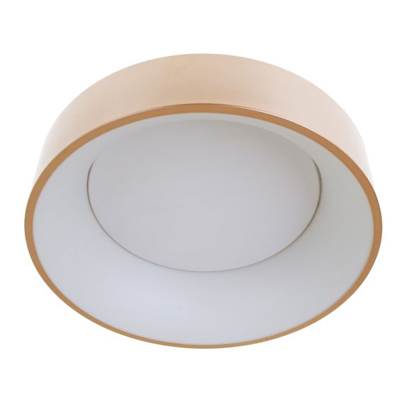 Светильник светодиодный настенно-потолочный накладной WBL-28C/30W*2 RG