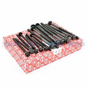 Комплект болтов ГБЦ Ford Transit 2.0-2.4 DI/TDCI/TDE 00-, Elring, 175.580,