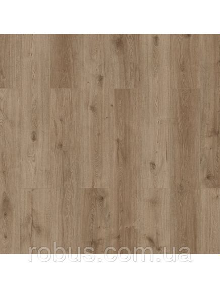 Ламінат Classen Skyline Large WR 56199 Чіно