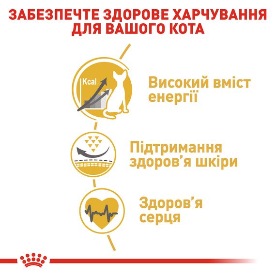 Сухий корм для котів породи сфінкс від 12 місяців Royal Canin Sphynx Adult 10 кг | Зображення 4