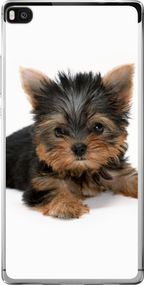 Чехол на Huawei Ascend P8 Щенок йоркширского терьера "931u-123-17620"