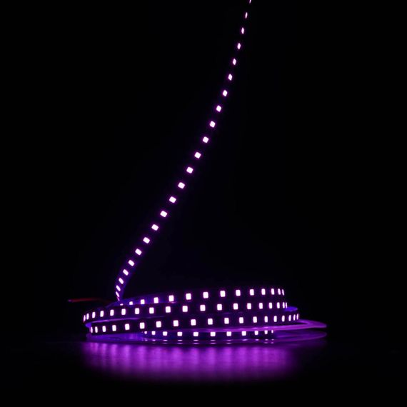 Світлодіодна LED стрічка PROLUM 12V IP20 2835\120 S-TYPE Series S Рожевий | Зображення 1