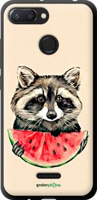 Чохол на Xiaomi Redmi 6 Єнотик з кавуном "4605b-1521-2448"