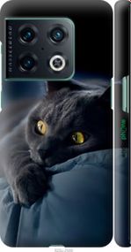 Чохол на OnePlus 10 Pro Димчастий кіт "825m-2588-2448"