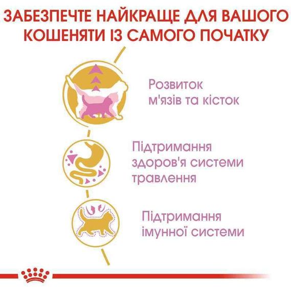 Сухий корм Royal Canin British Shorthair Kitten для кошенят породи Британська короткошерста, 400 г | Зображення 3