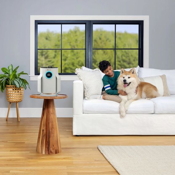 Очисник повітря Shark NeverChange5 Air Purifier Compact Pro (HP072EU) | Зображення 5