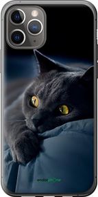 Чохол на iPhone 11 Pro Димчастий кіт "825t-1788-2448"