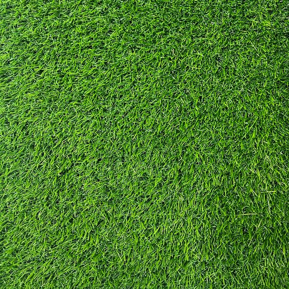 Ландшафтная трава ecoGrass R-20 4м. | Зображення 1