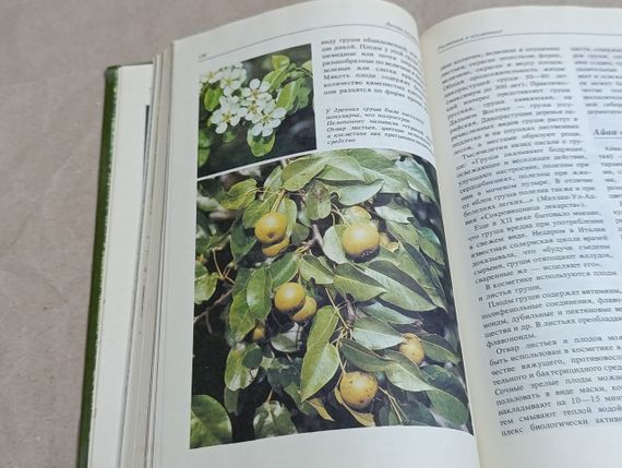 Лесная  косметика: л. м. молодожникова, о. с. рождественская, в. ф. сотник. экология, 1991. RUS | Зображення 4