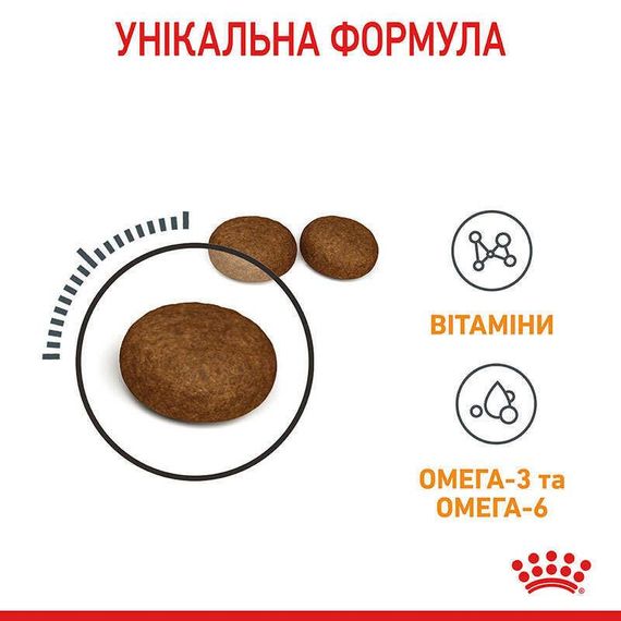 Сухий корм для котів Royal Canin Hair & Skin для підтримки здоров’я шкіри та блиску шерсті, 400 г | Зображення 3