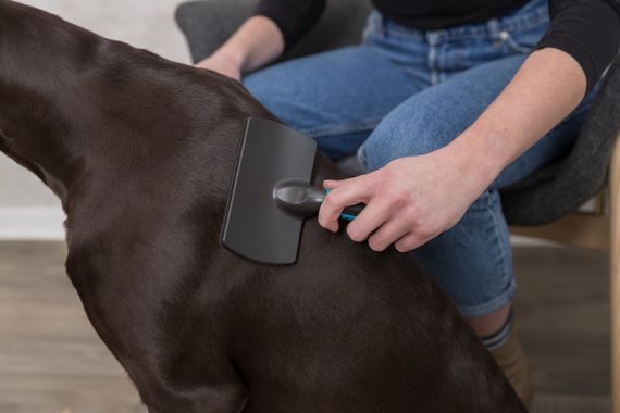 Щітка-пуходерка із пластиковою ручкою Trixie, 12 см | Зображення 2