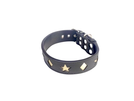 Шкіряний нашийник для собак "Golden Star" чорно-золотистий | Зображення 4
