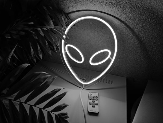 Неоновий світильник Прибулець 240х295 acr-n000003 | Зображення 5