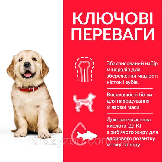 Сухий корм для цуценят великих порід Hill's Puppy Large Breed Chicken з куркою 14.5 кг 604386 | Зображення 1